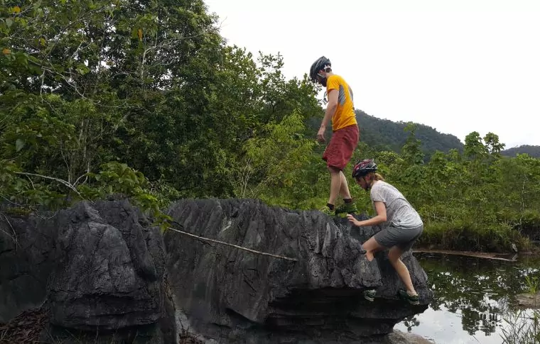 Borneo Outdoor Discovery: Orangutan, Off-Road Biking, & Caves